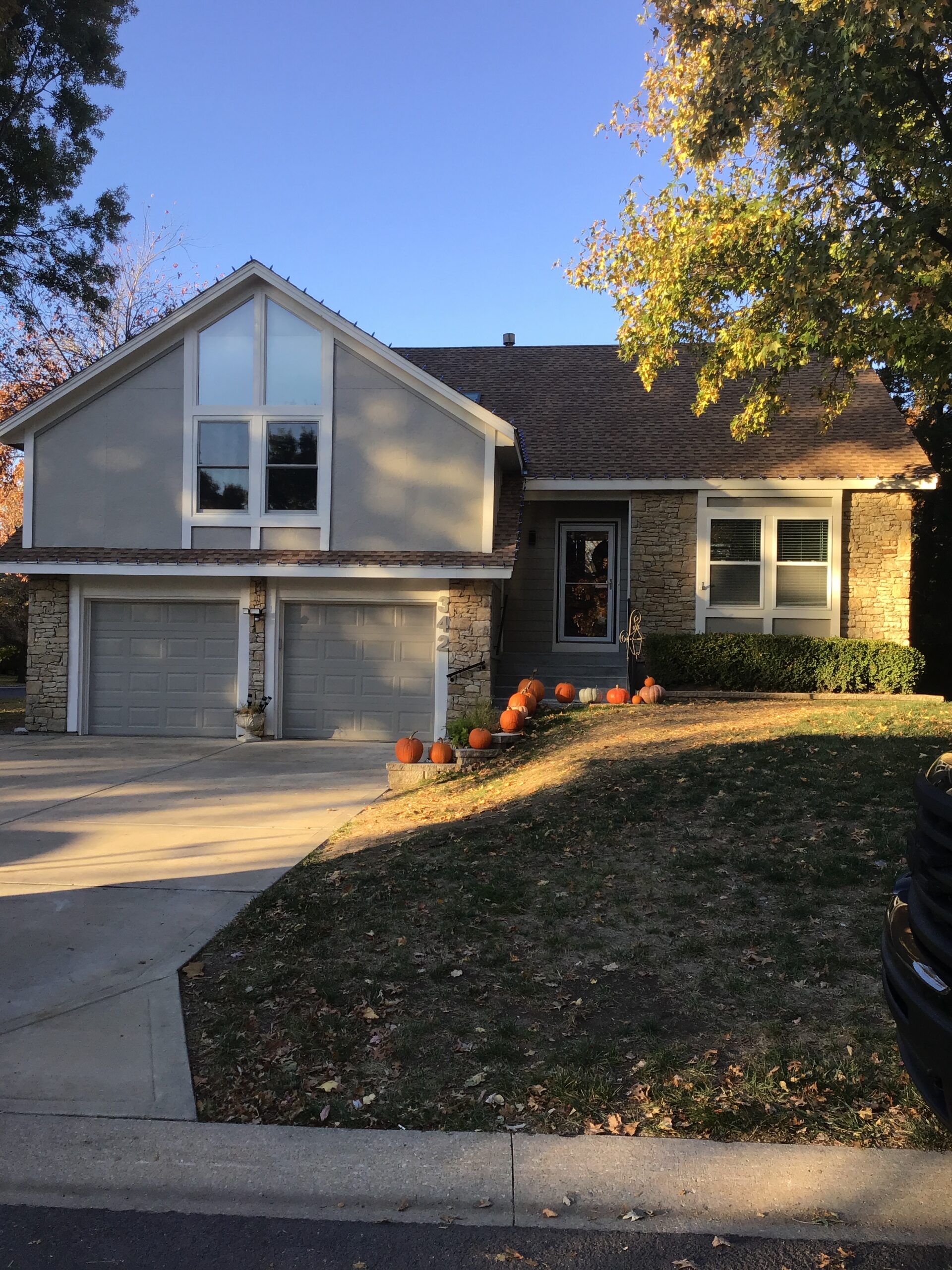 Painter, Overland Park