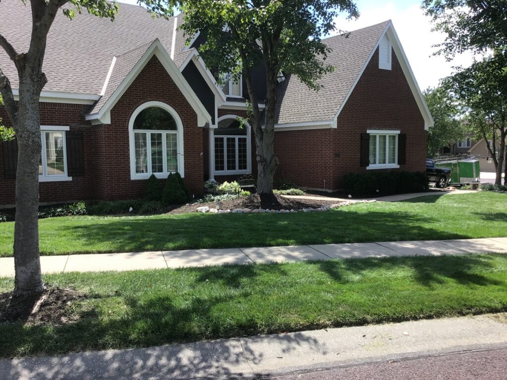 Wood Rot Repair