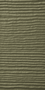 Mudflats